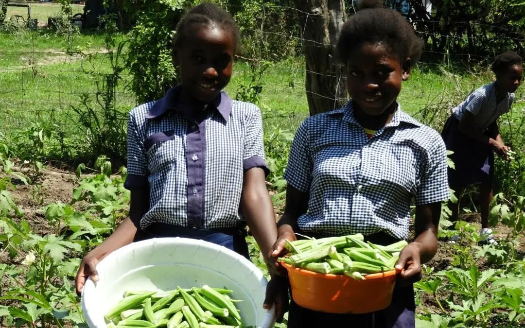 School Garden Flourishes