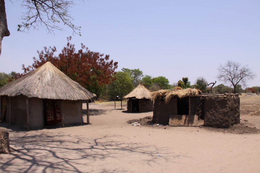 Village life