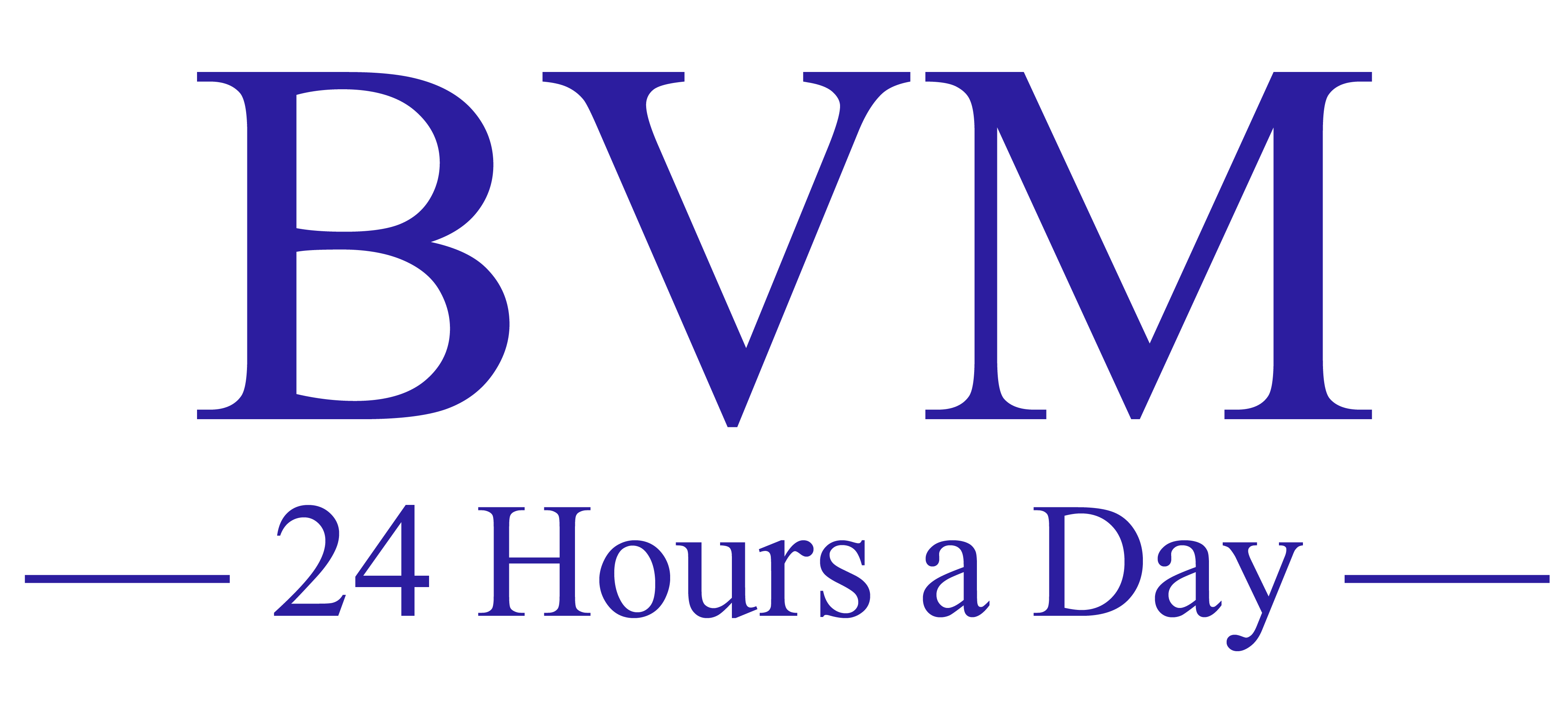 BVM LOGO